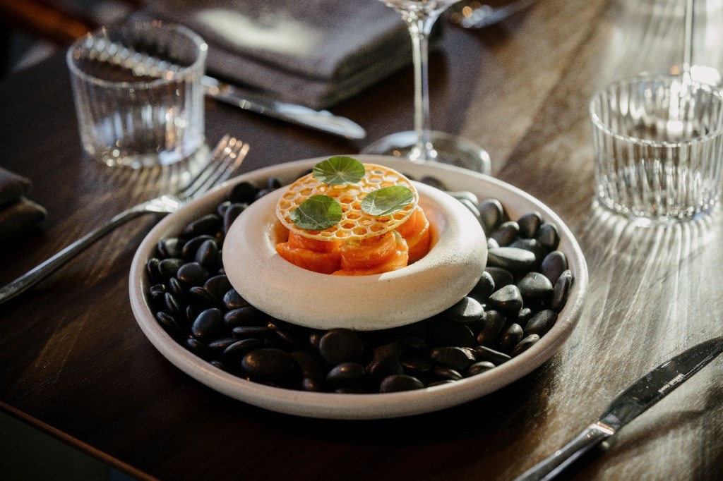 Modern Australian cuisine - torched ora king salmon at Ember & Vine