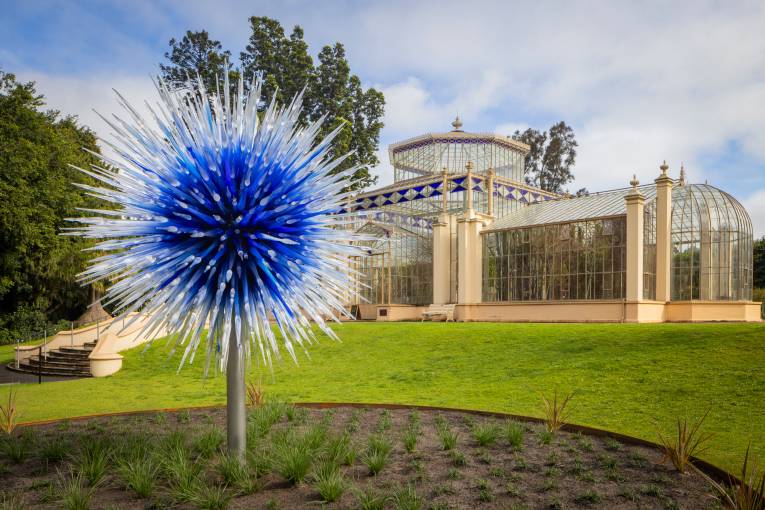 Australian Institute of Architects SA City of Adelaide Prize finalist - Chihuly in the Botanic Garden - one of the glass artworks in situ