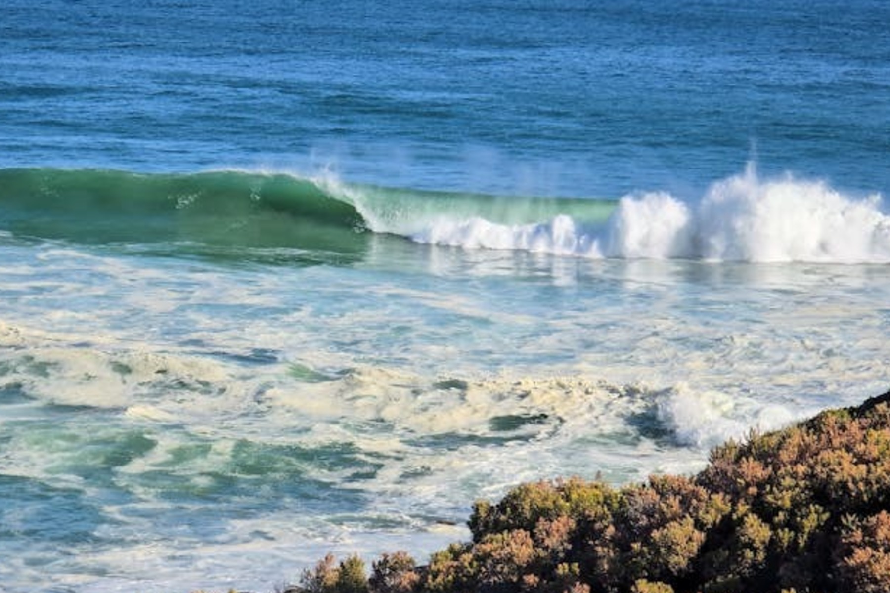 algae bloom Fleurieu