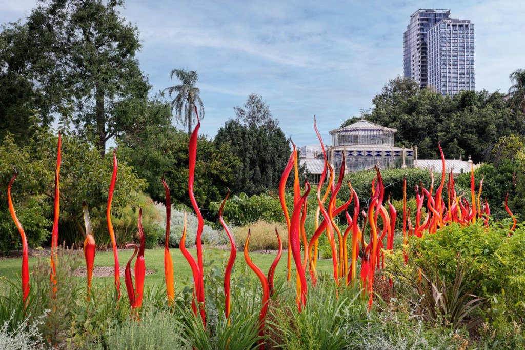 Adelaide Botanic Garden with Dale Chihuly's Cattails and Copper Birch Reeds in the foreground and the city in the background