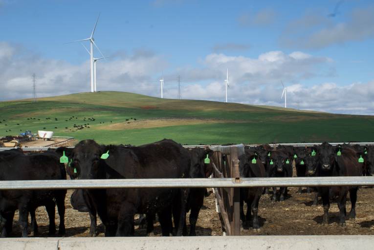 Princess Royal Station near Burra