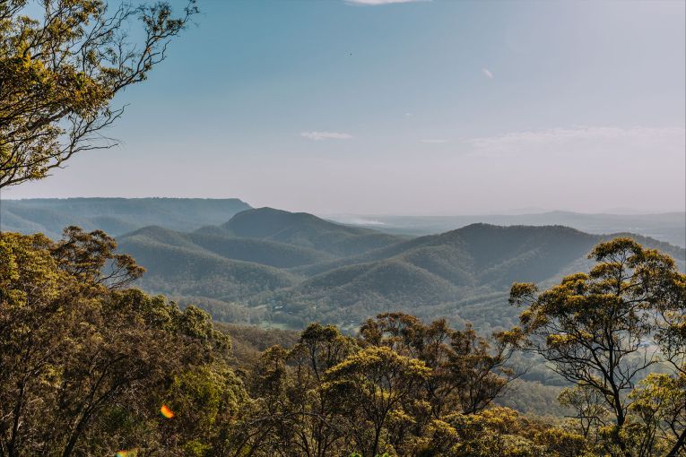 Thumbnail for Keeping the Gold Coast Green: The Gold Coast’s commitment to Natural Land Acquisition and Habitat Protection