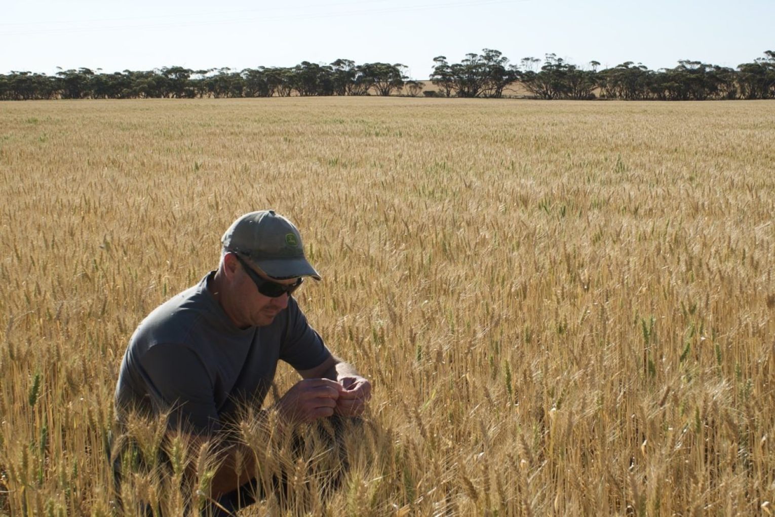 Wudinna was crowned Agricultural Town of the Year in 2023.