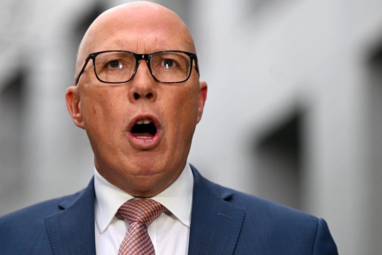 Thumbnail for Not a Trump acolyte in the strictest form, but Dutton making a good fist of it