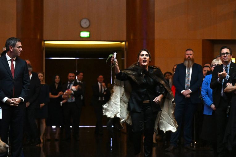 Thumbnail for ‘Don’t share your country, don’t share your king:’ Senator defends Royal ruckus