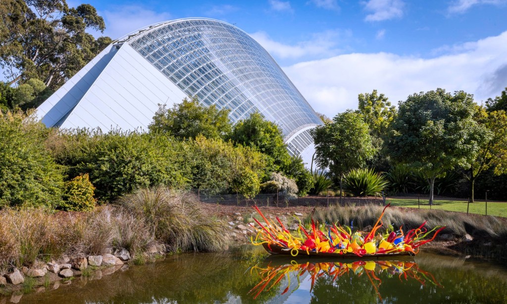 Thumbnail for Chihuly sheds colourful new light on Botanic Garden