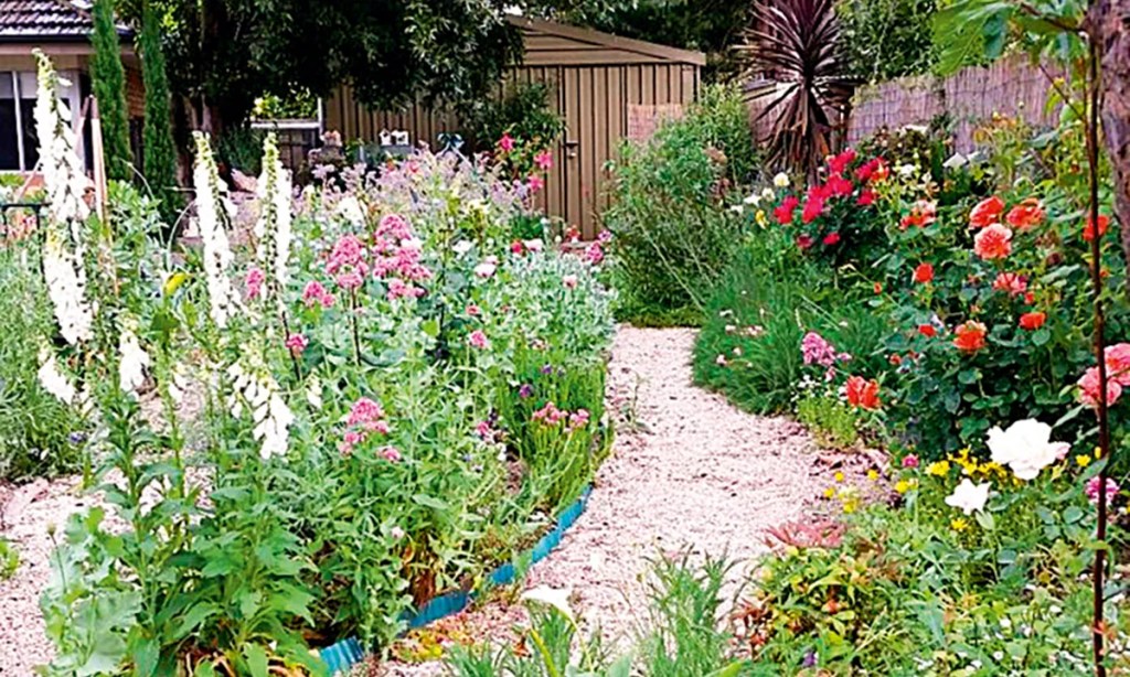 Thumbnail for In the garden: How to create a cottage garden