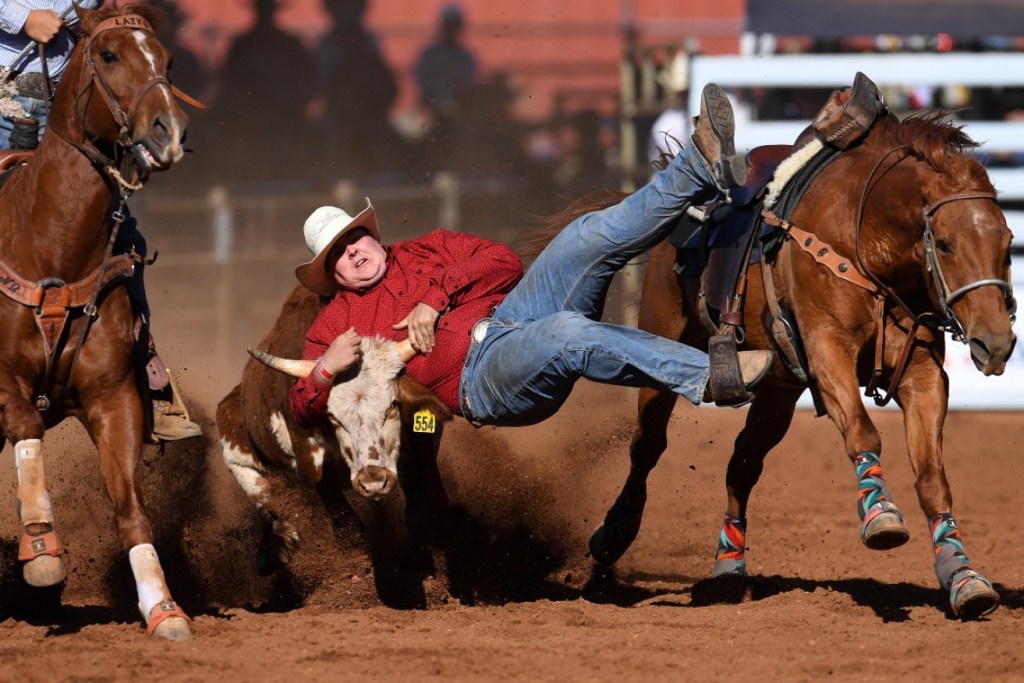 Thumbnail for Australia’s ‘Wimbledon of rodeo’ in administration