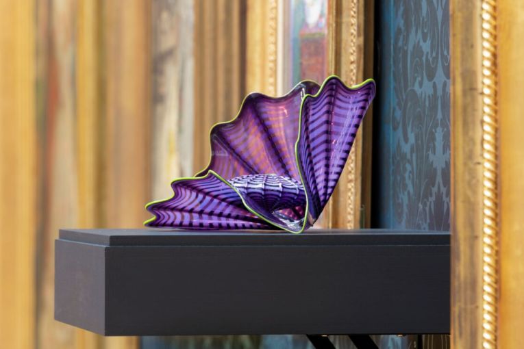 Thumbnail for In full bloom: Chihuly’s striking Imperial iris