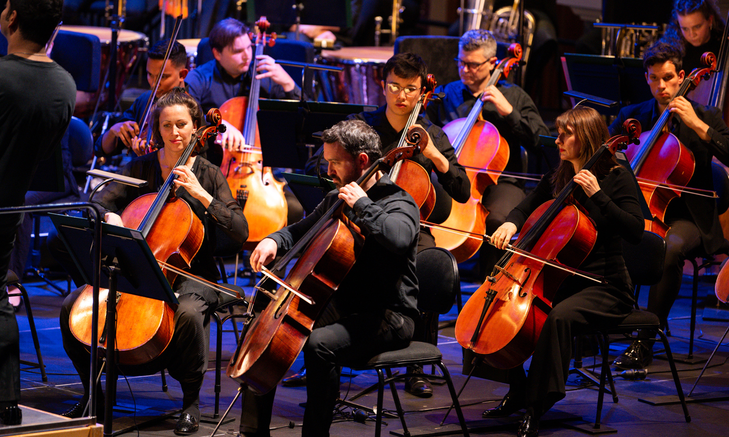 Adelaide Symphony Orchestra's Master Series concert 'Reverie' at the Adelaide Town Hall. Photo: Morgan Sette / supplied