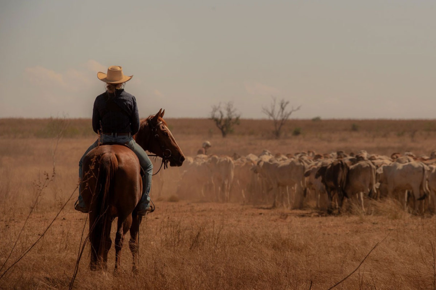 'Territory' is based around a massive cattle property known as Marianne Station. Photo: Netflix