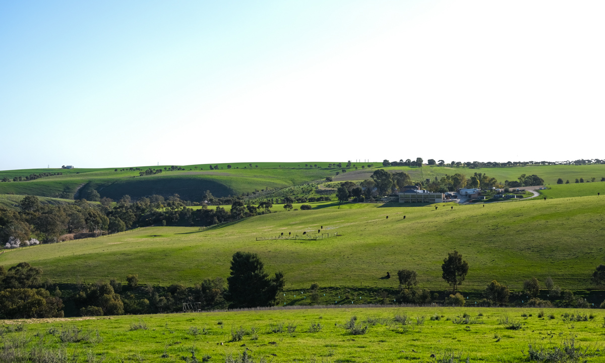 Kingsford The Barossa. These pictures: Claudia Dichiera. 