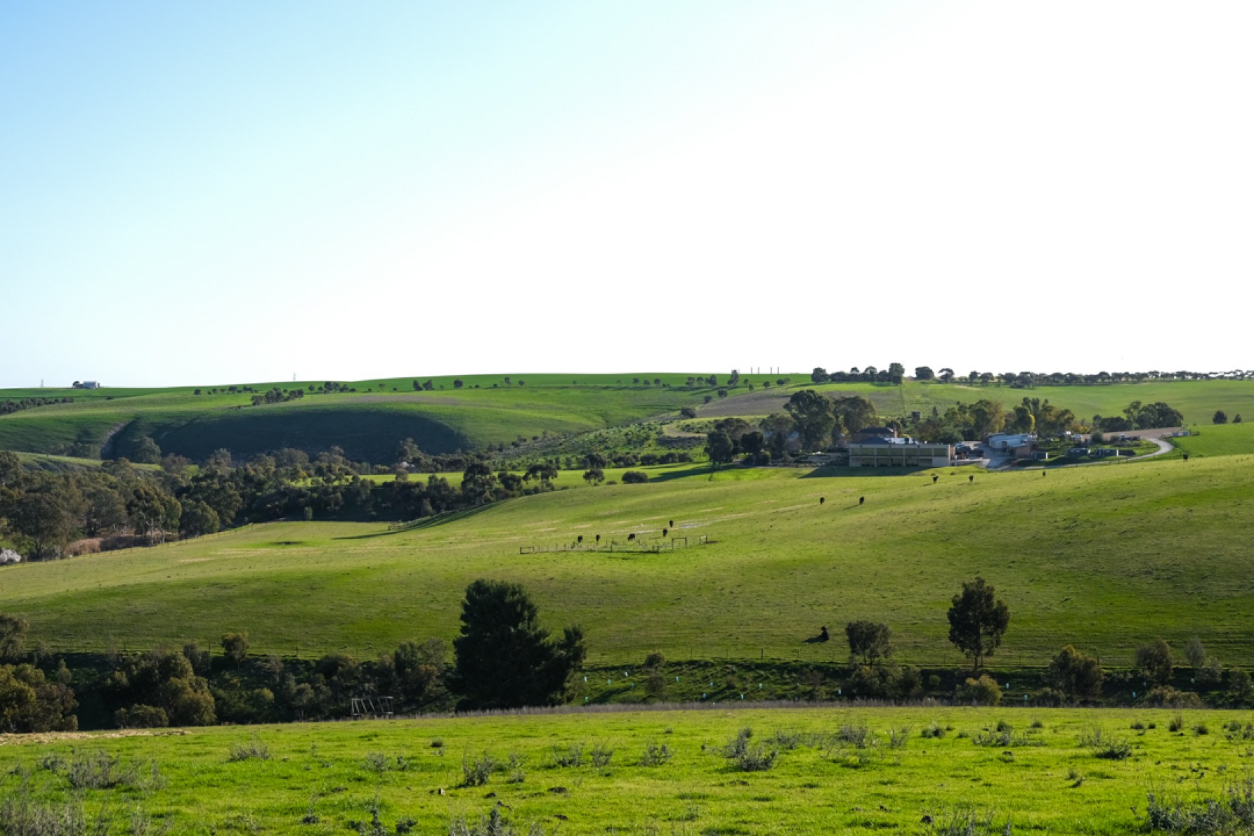 Kingsford The Barossa. These pictures: Claudia Dichiera. 