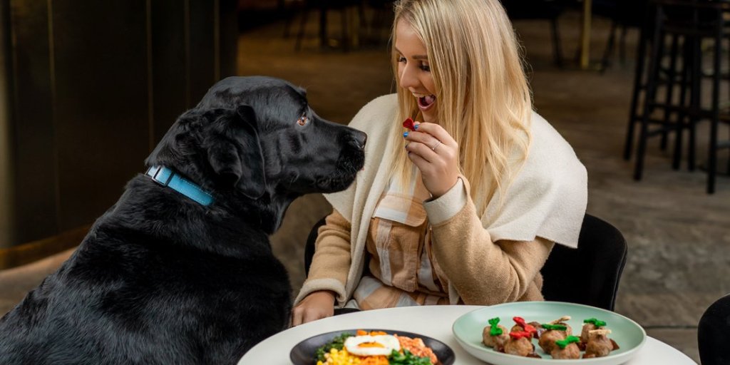 Thumbnail for Pack your pooch – where to find Brisbane’s best dog-friendly cafes and bars