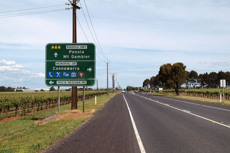 Thumbnail for Child dies in highway pile-up after car hits emu