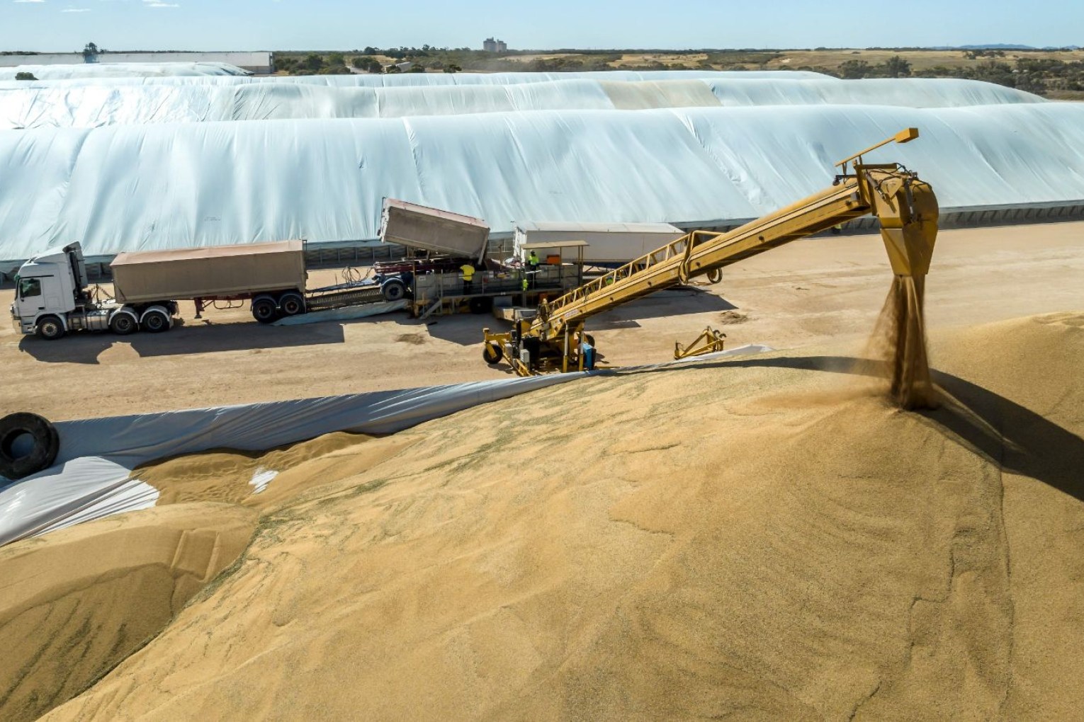 Members of the grain industry have spoken out against a proposed acquisition by Viterra. Photo: Viterra