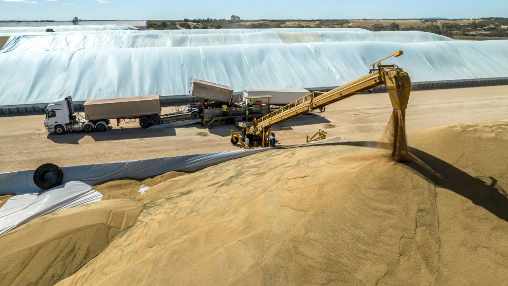 Thumbnail for Grain industry backlash over Viterra buyout plan