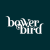 Bowerbird