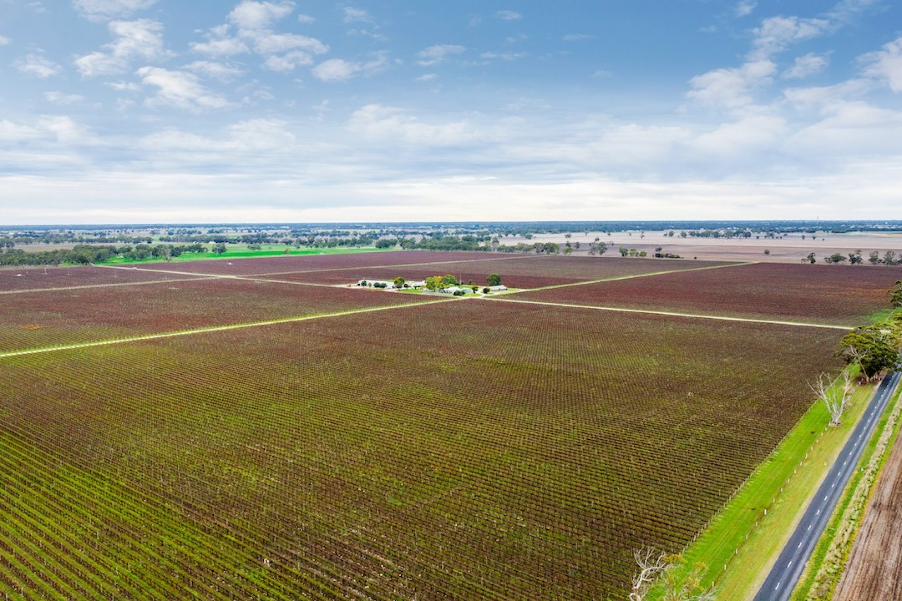 The vineyard could sell for more than $9 million. Photo: Supplied.