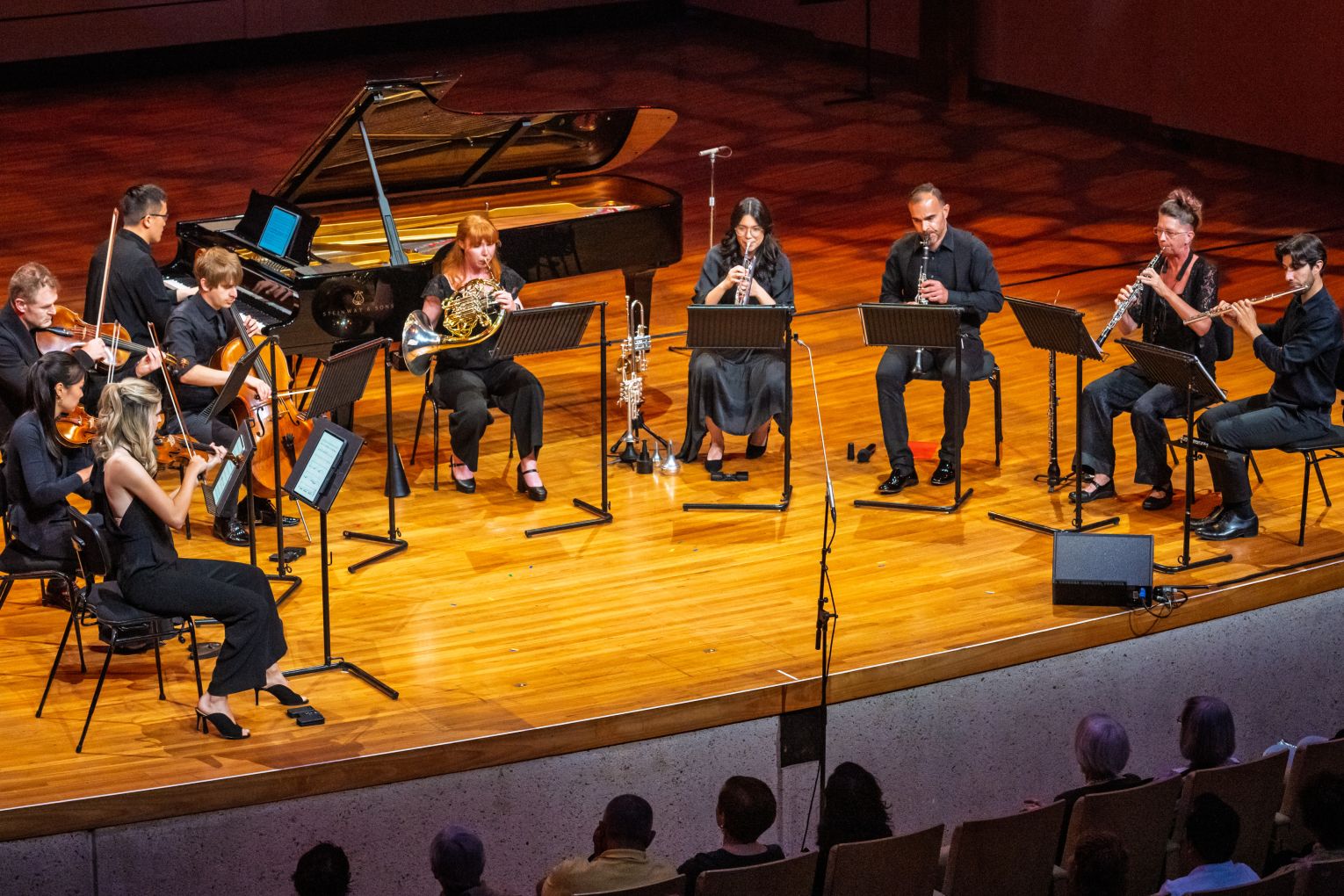 Southern Cross Soloists' 2025 season will start in February with, among other things, Strauss waltzes. Photo: Darren Thomas