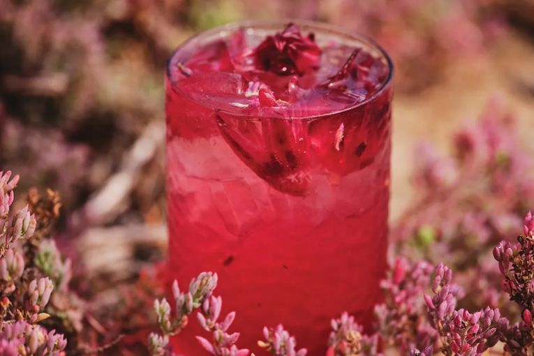 Thumbnail for Native rosella pink lemonade with Green Ant Gin
