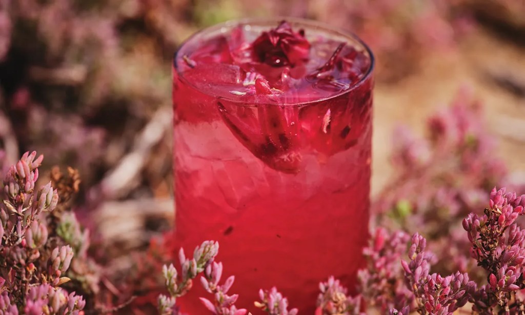 Thumbnail for Native rosella pink lemonade with Green Ant Gin