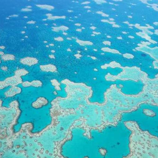 Thumbnail for Cyclone-hammered reefs can take many years to recover