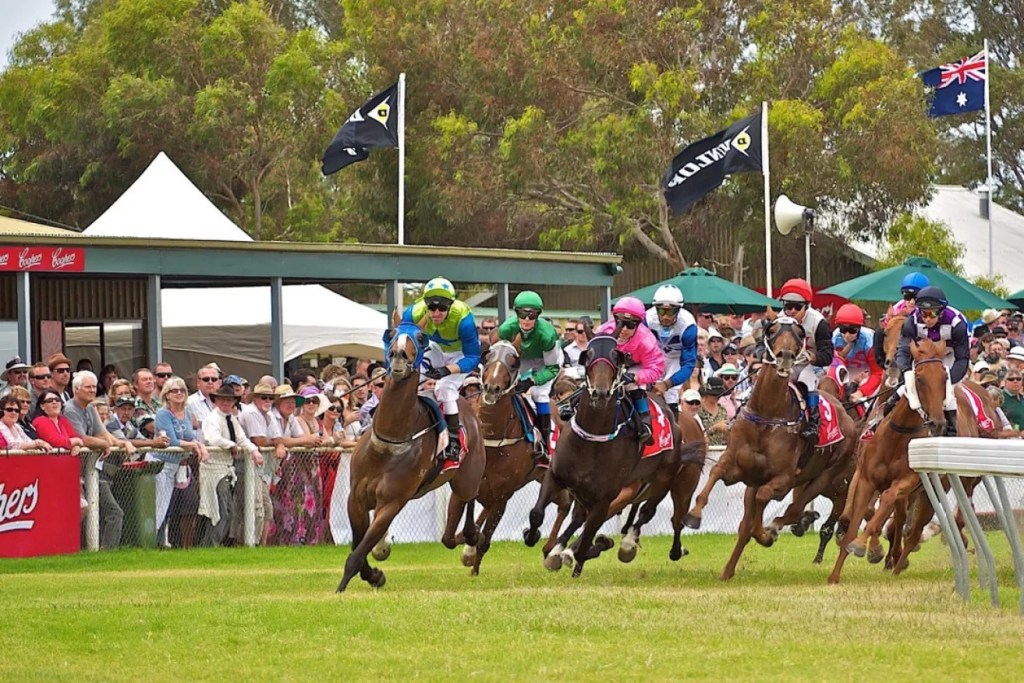 Thumbnail for Kangaroo Island races back on track