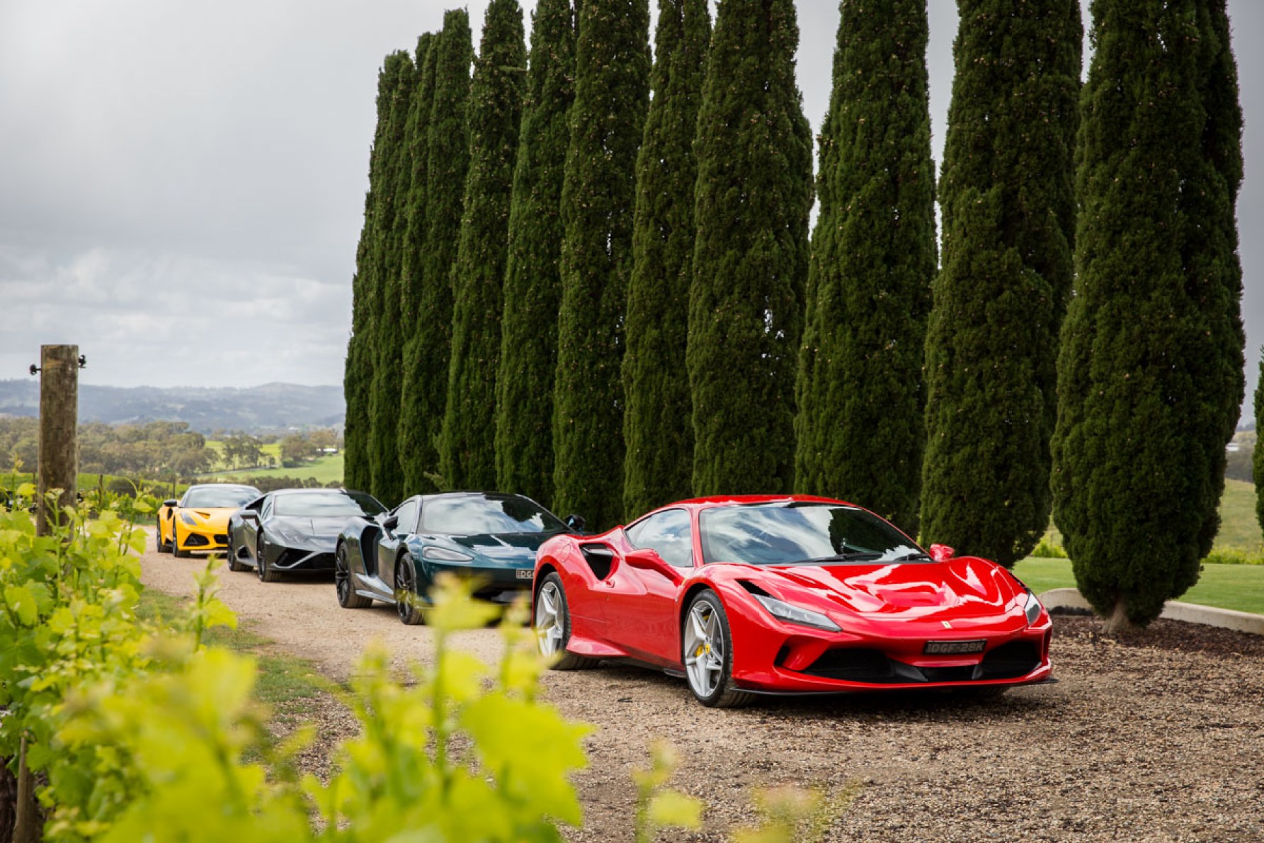 Prancing Horse supercars lined up at The Lane in the Adelaide Hills. Photograph: Ben Kelly.