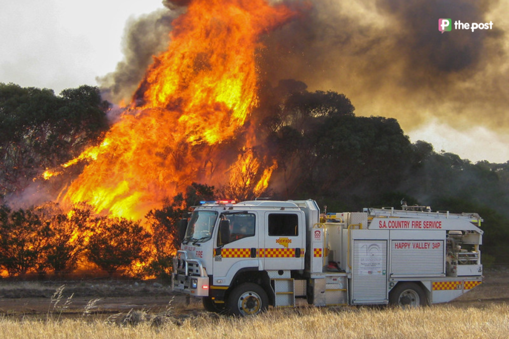 Thumbnail for What to expect this bushfire season