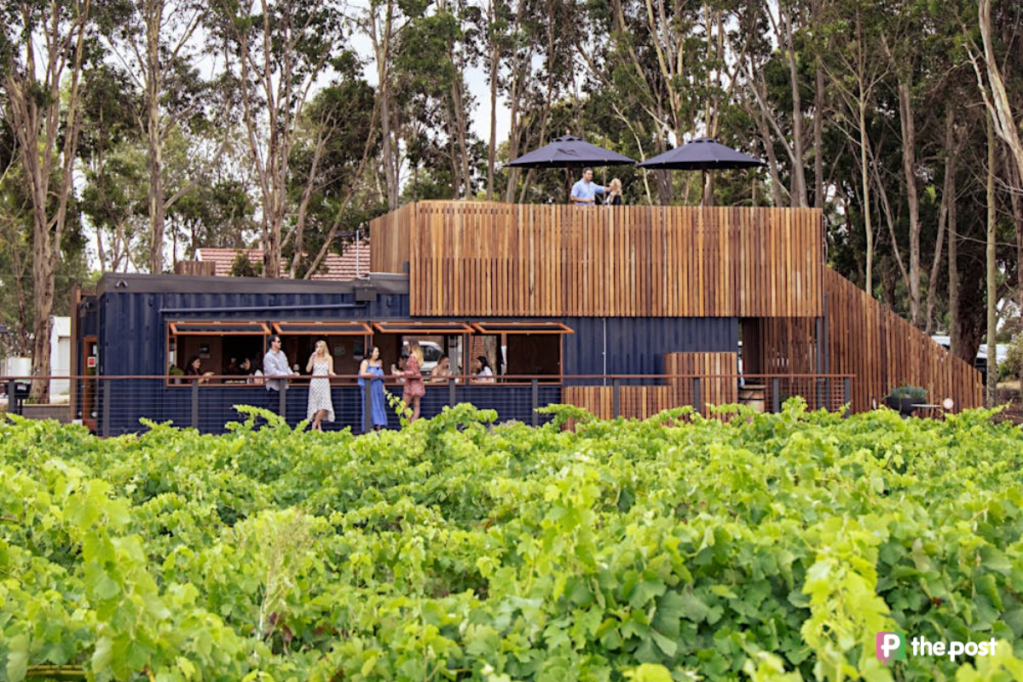 Thumbnail for Why this family-run winery keeps winning awards