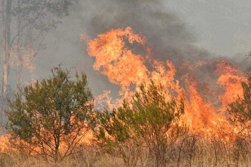 Thumbnail for Hundreds flee homes as bushfire threatens outback town