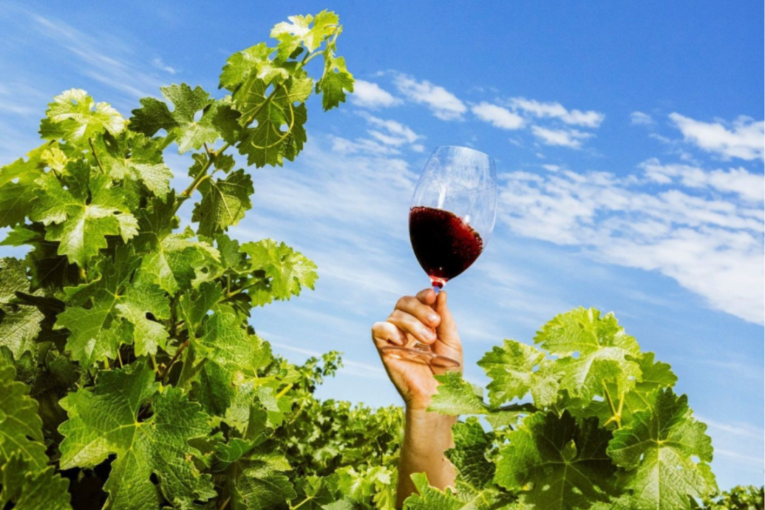 Thumbnail for South Australian exports bounce back