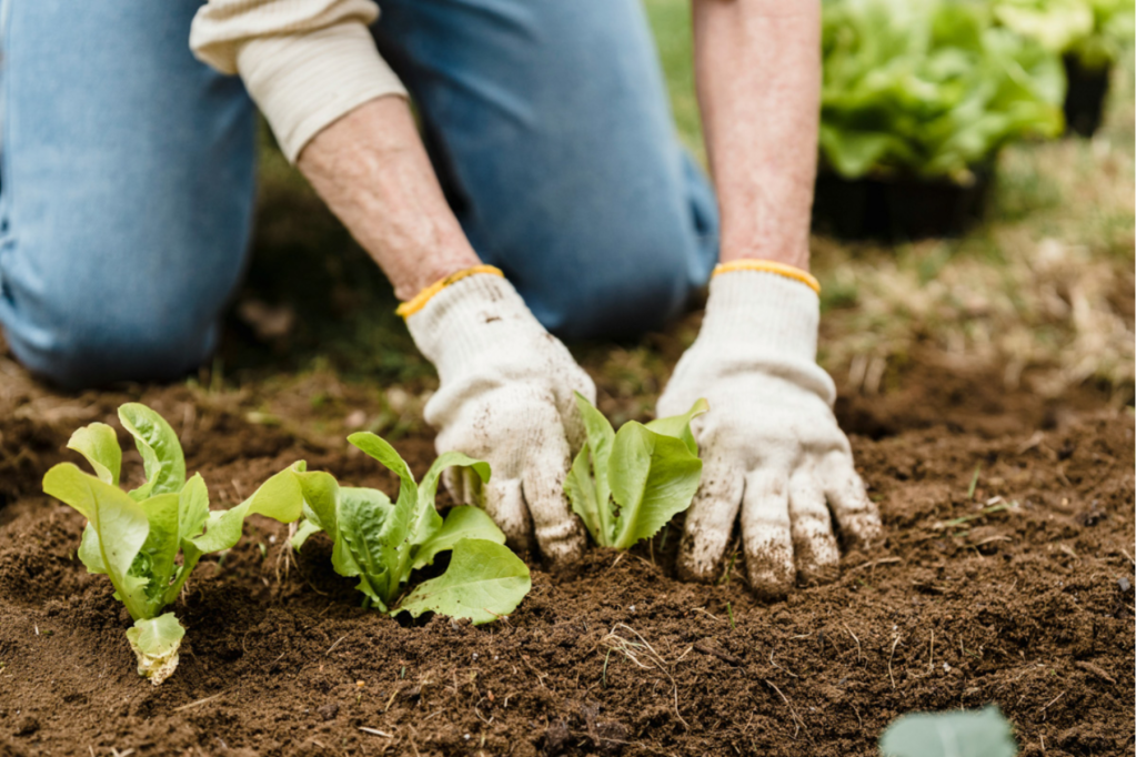 Thumbnail for SA researchers aim to get the dirt on backyard chemicals