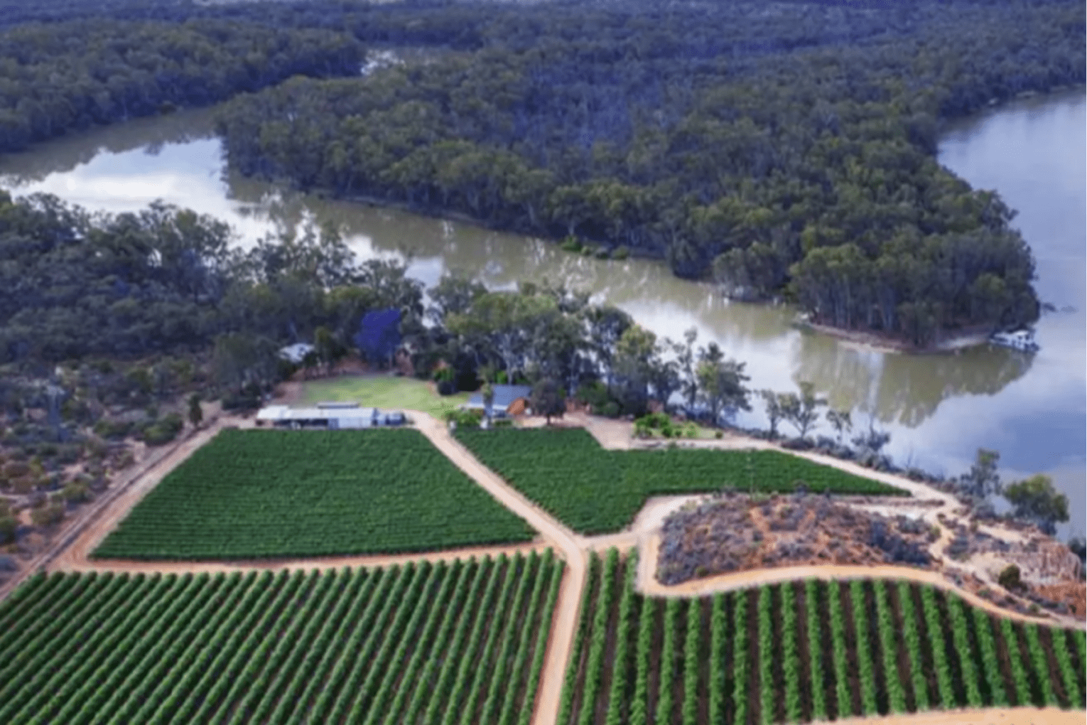 South Australia's Riverland. Photo: Matt Wilson.