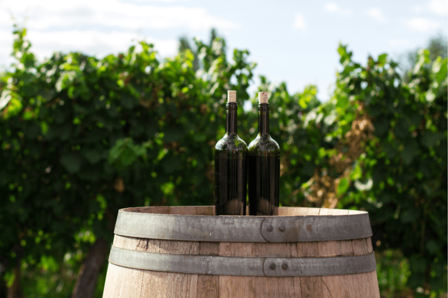 Wine exports have seen major increases following the removal of tariffs by China. Photo: Unsplash