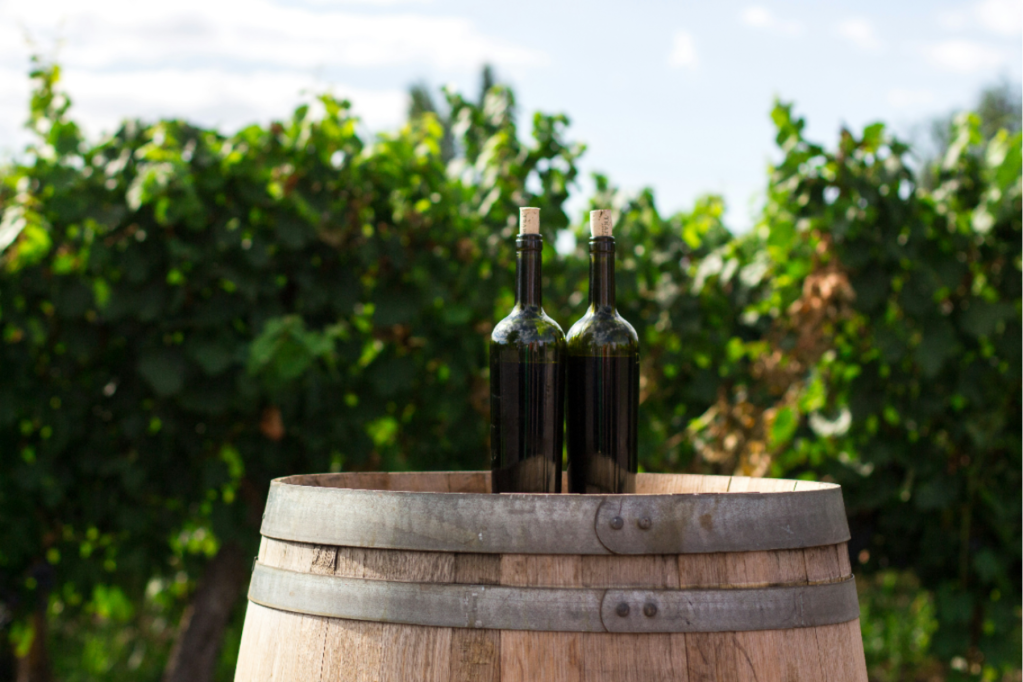 Thumbnail for South Australian wine exports begin to bounce back