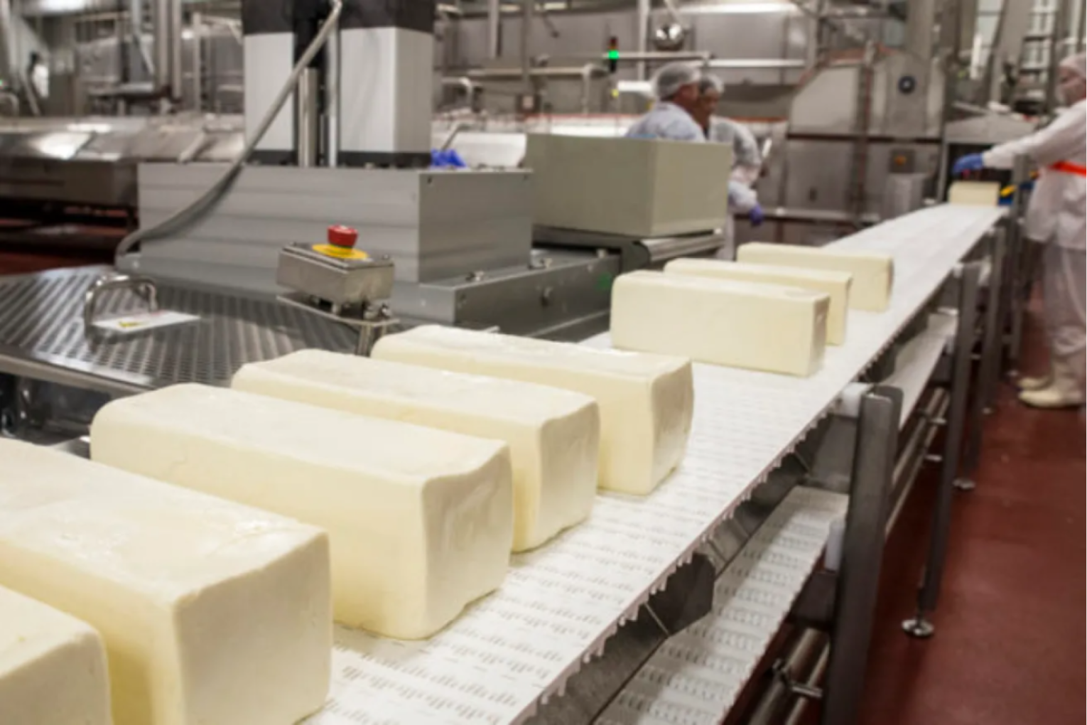 Beston Global Foods' mozzarella production line at its Jervois factory. Photo: Walter Bulyga.