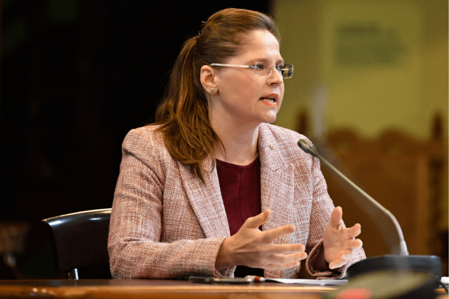 Australian Nursing and Midwifery Federation state branch CEO Elizabeth Dabars is calling for better incentives to get regional healthcare workers. Photo: David Mariuz/AAP