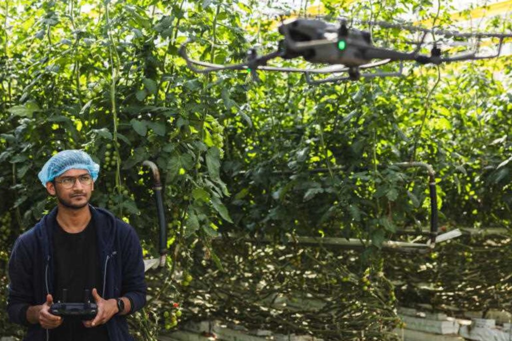 Ag-tech start-up Polybee uses drones and AI to help farmers grow plants in greenhouses like this one at Two Wells in South Australia.