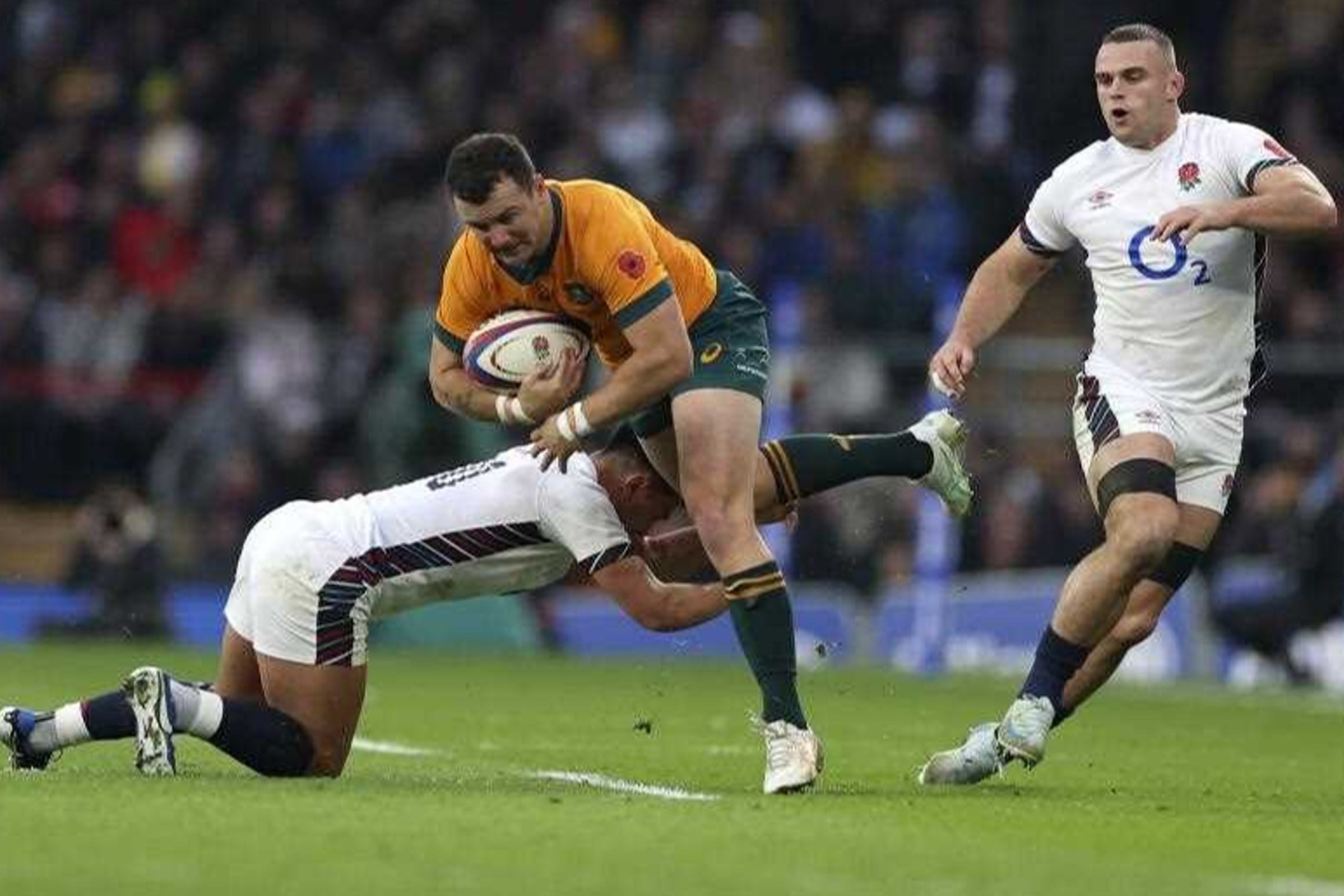 Wallabies winger Dylan Pietsch has left the UK with an injury, days after playing against England. Photo: AP