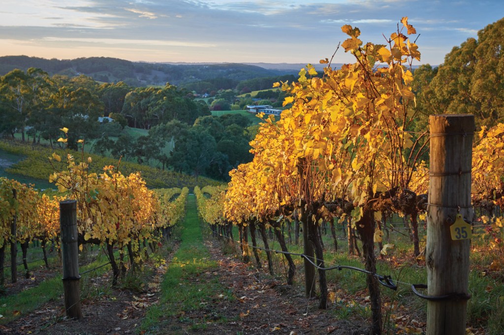 Thumbnail for South Australia named as one of ‘most welcoming regions on Earth’