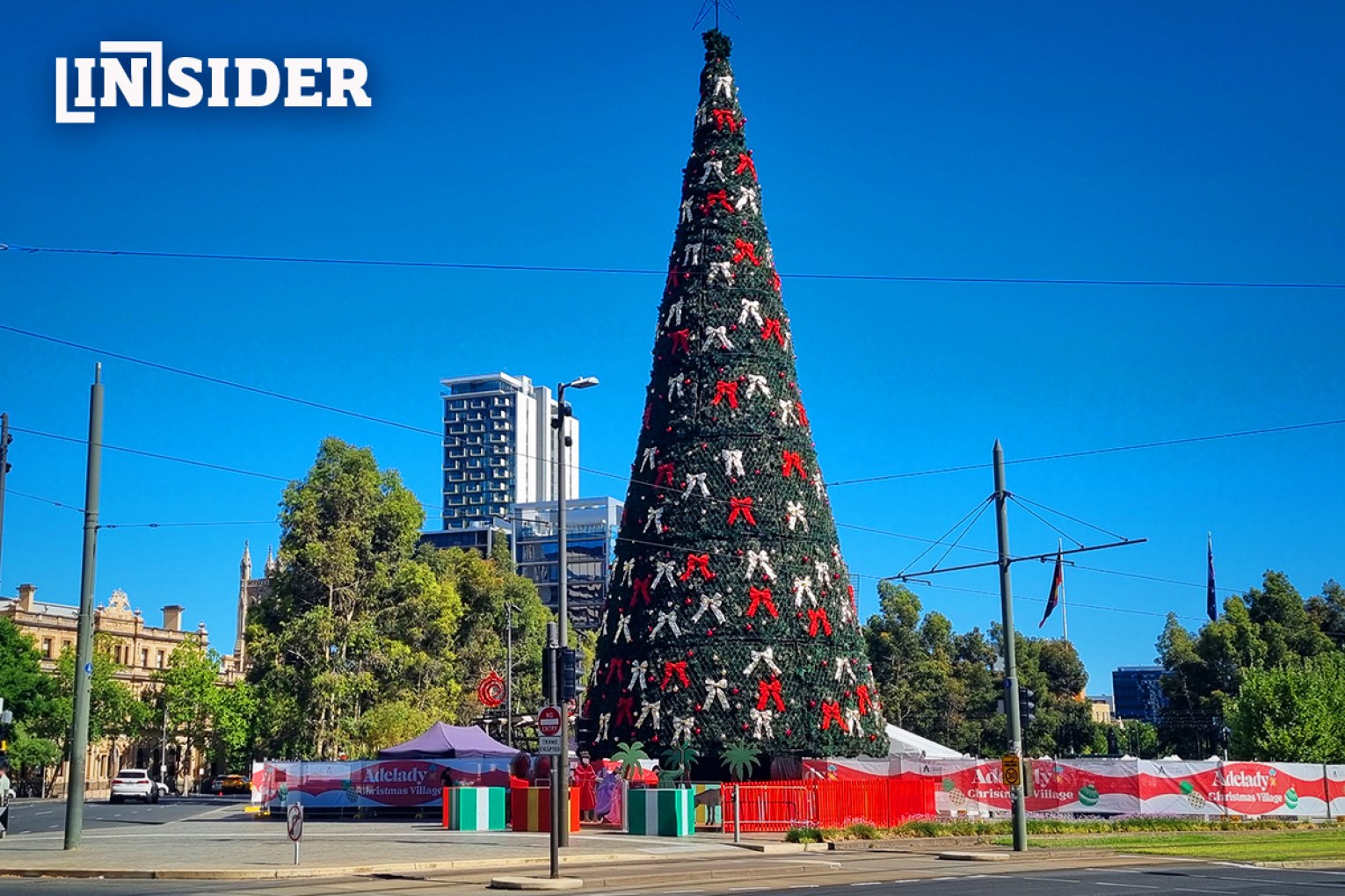 A farewell party is in order for Adelaide's giant Christmas tree. Photo: Thomas Kelsall/InDaily