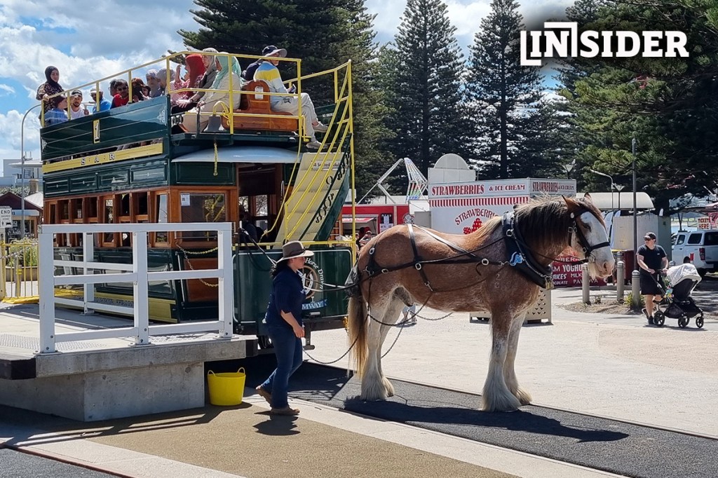 Thumbnail for Horse tram troubles | Vincent Tarzia is brat? | Trev made flesh