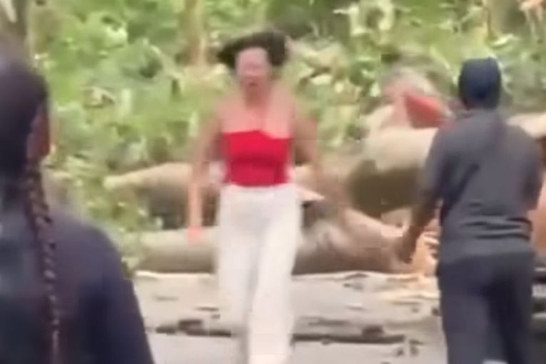 Thumbnail for Bali tourists killed in freak accident at popular attraction