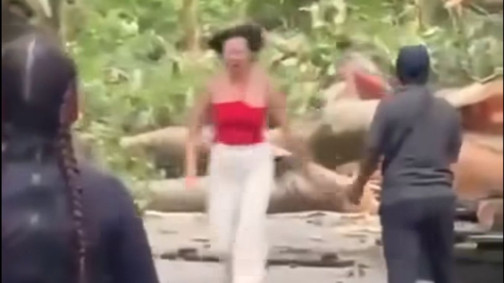 Thumbnail for Bali tourists killed in freak accident at popular attraction