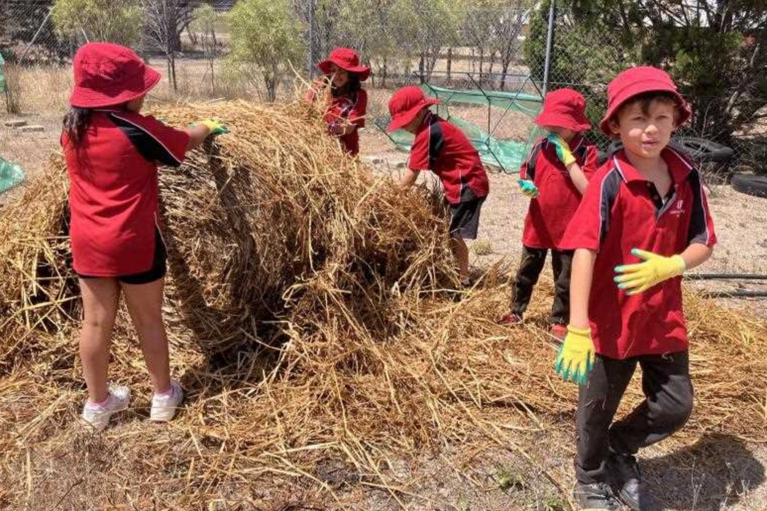 The project at Point Pearce Primary School focuses on cultural and land management practices. Photo: supplied/AAP