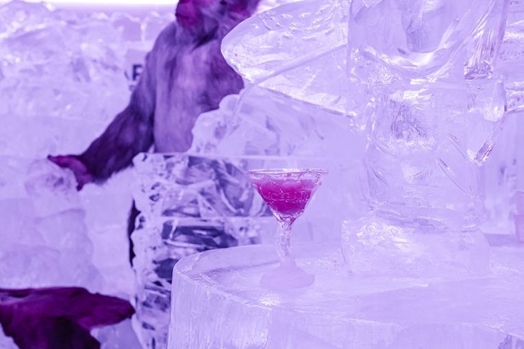 Thumbnail for IceBar Surfers