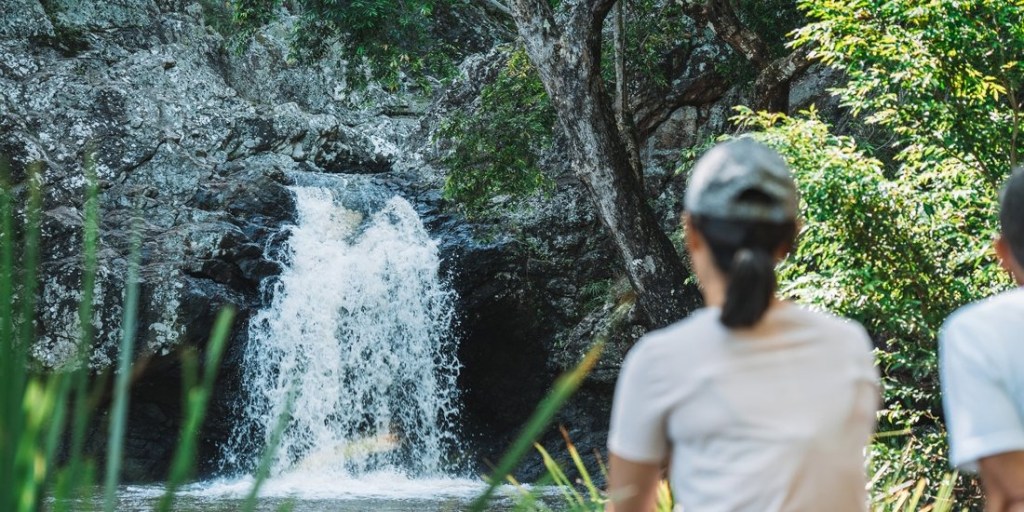 Thumbnail for Pack your hiking shoes – where to go chasing waterfalls near Brisbane