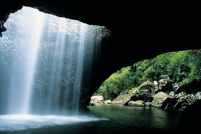 Thumbnail for Fill your tank for the best day trips around Southeast Queensland